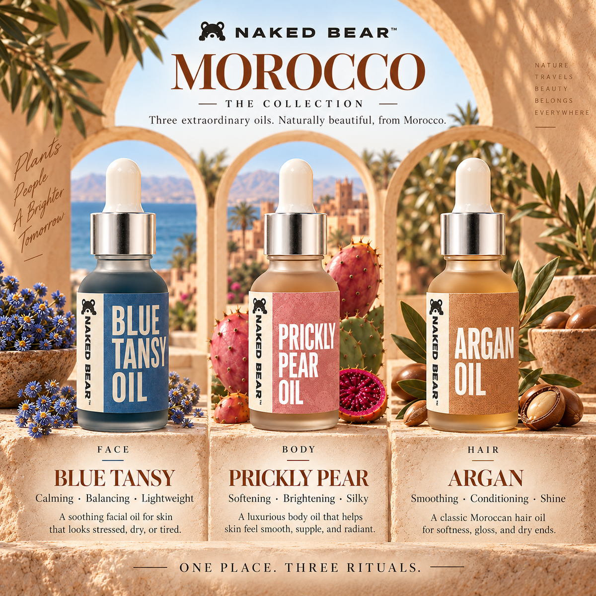 Naked Bear Morocco Collection