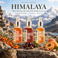 Naked Bear Himalaya Collection