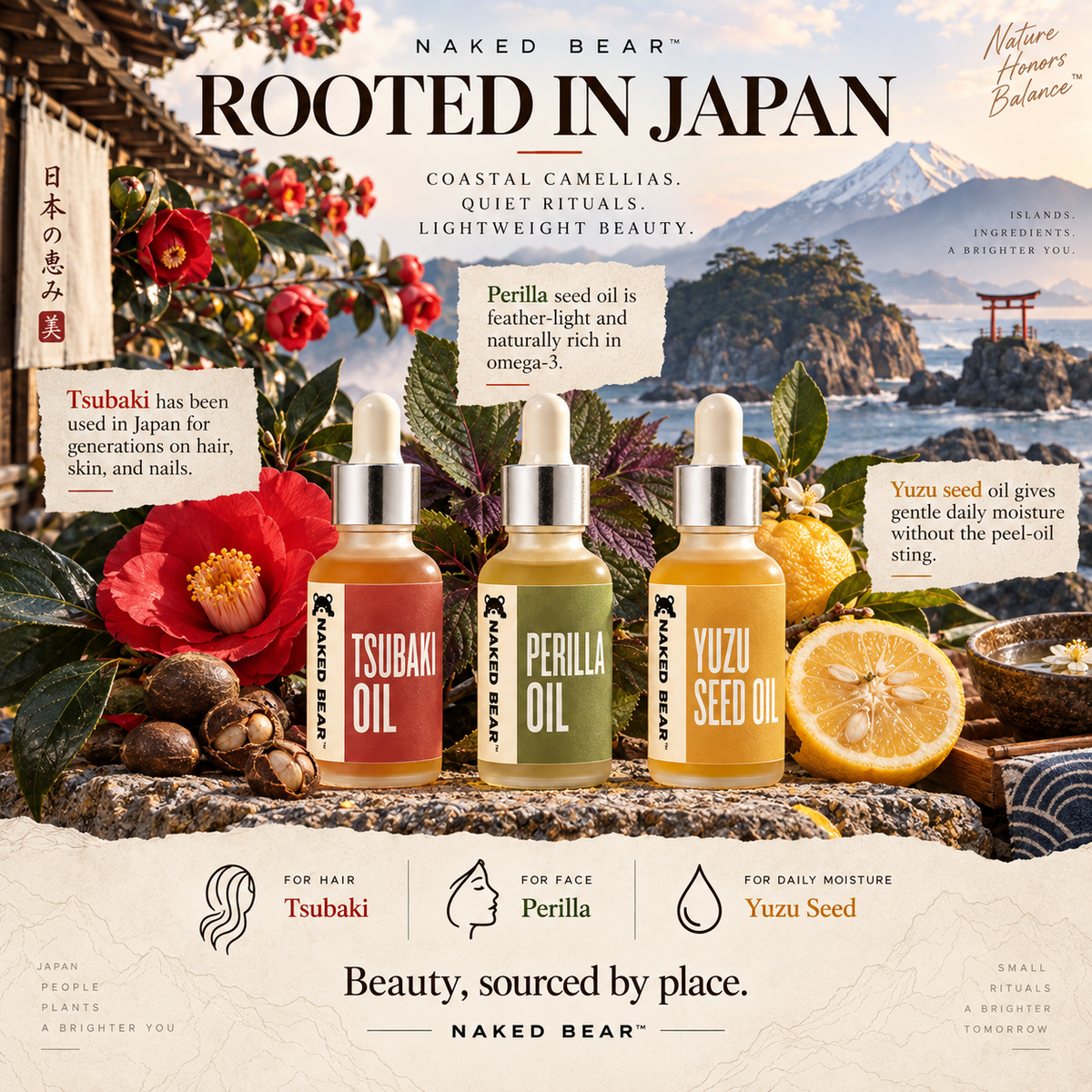 Naked Bear Japan Collection